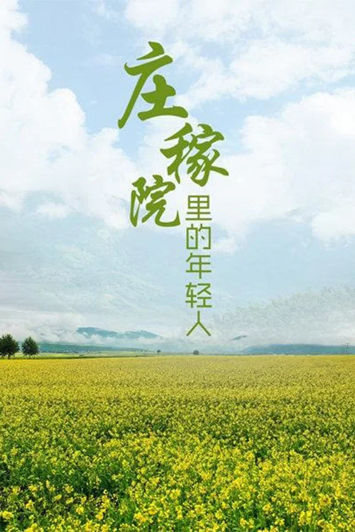 莊稼院裡的年輕人(1999)海報