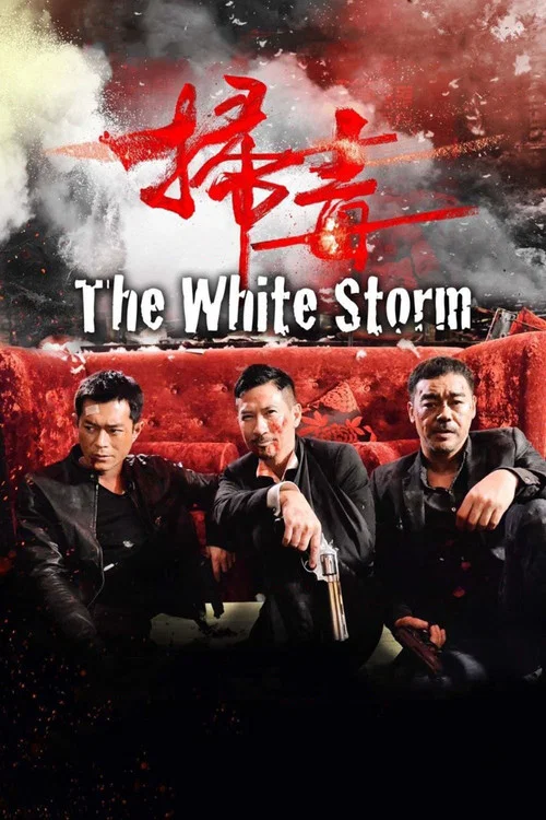 掃毒(2013)海報