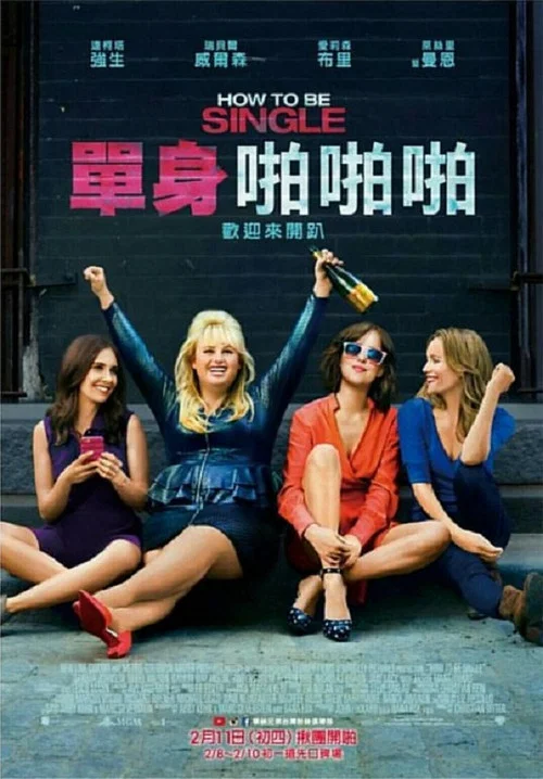 单身指南(2016)海报