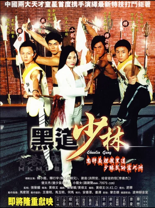 黑道少林(2004)海報