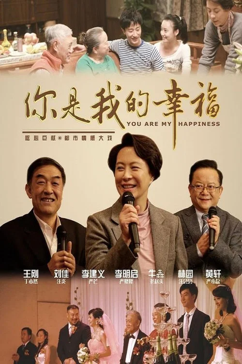 你是我的幸福(2011)海報