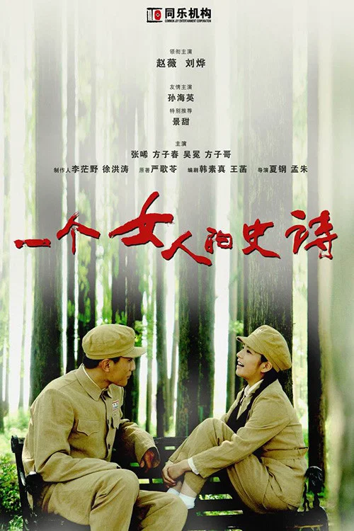 一个女人的史诗(2009)海报