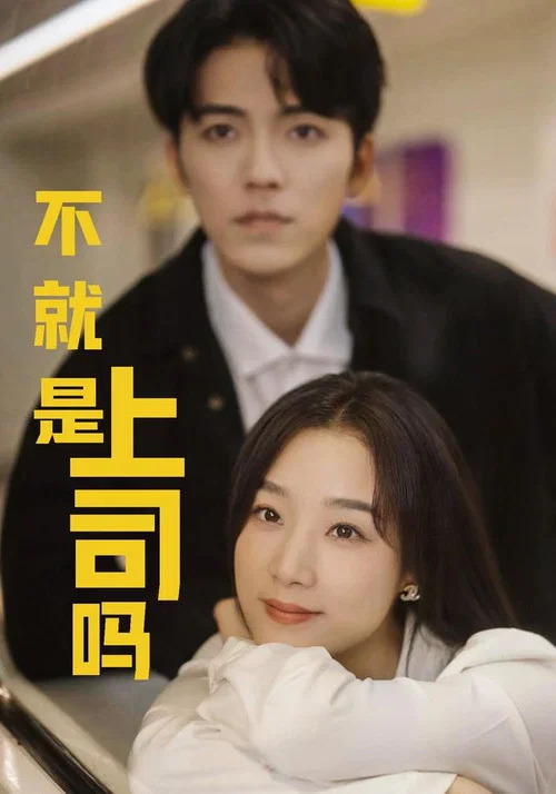 不就是上司吗(2025)海报