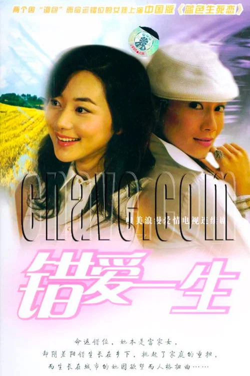 错爱一生(2005)海报