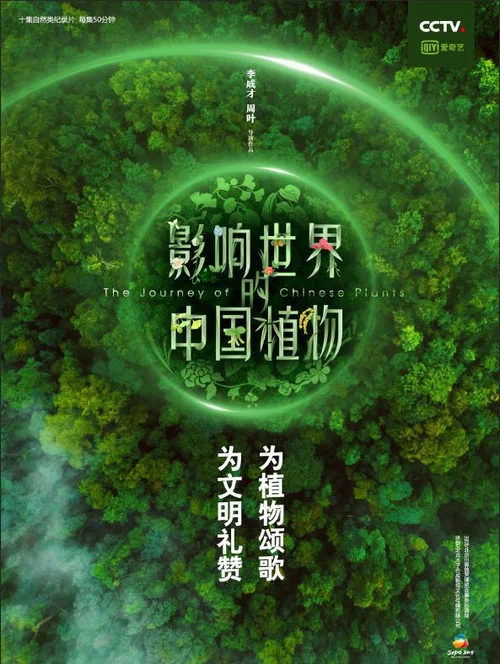 影响世界的中国植物(2019)海报