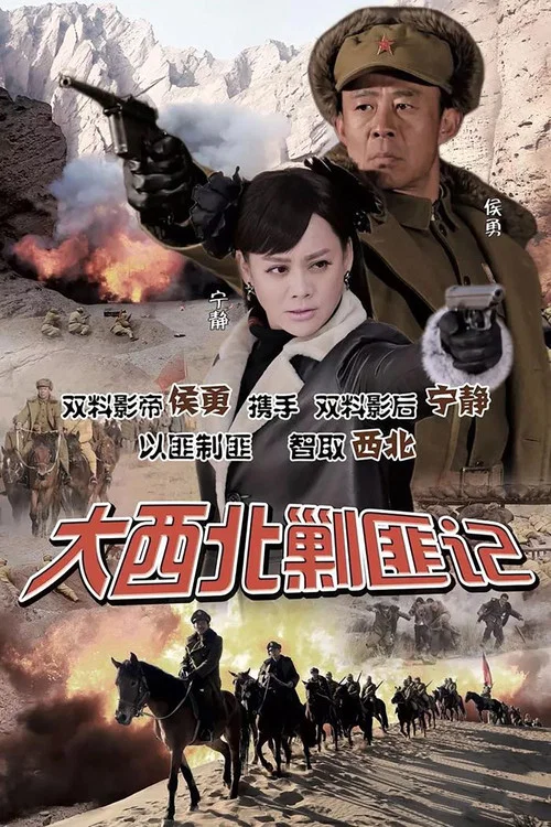 大西北剿匪记2017(2017)海报