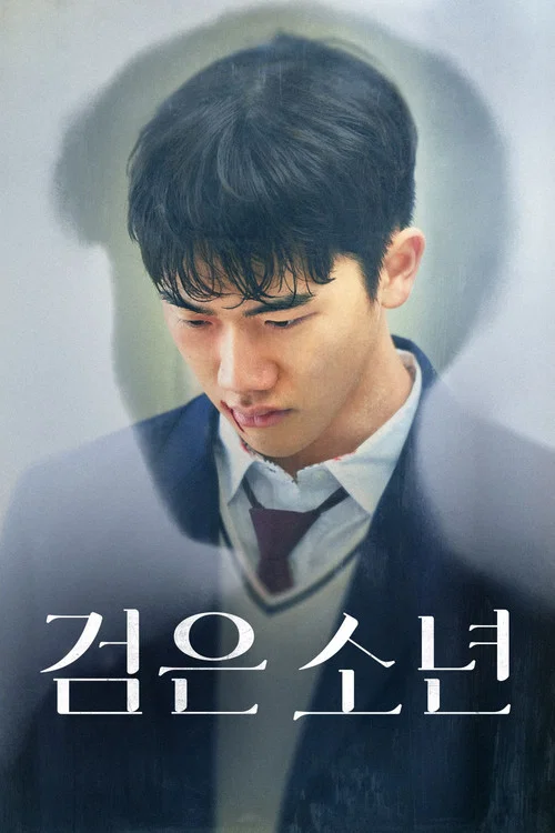 黑色少年(2024)海报