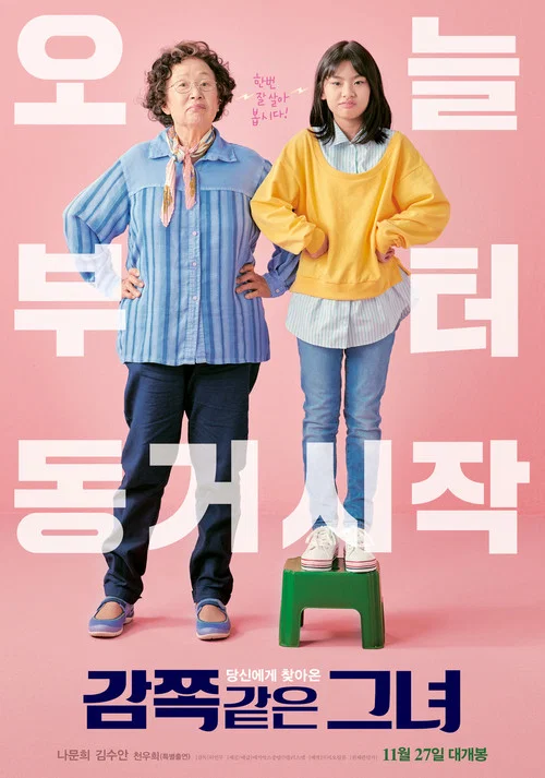 天衣无缝的她(2019)海报