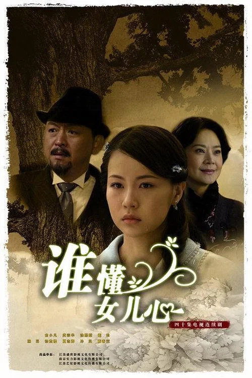 谁懂女儿心(2009)海报