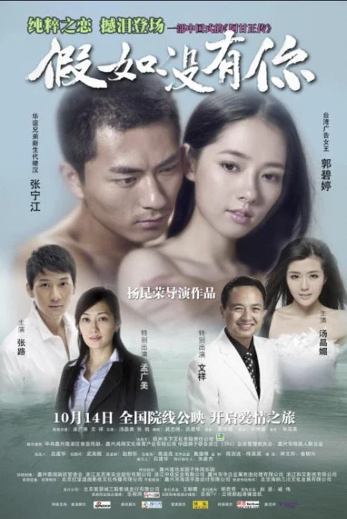 假如沒有你(2011)海報