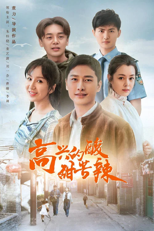 高兴的酸甜苦辣(2020)海报