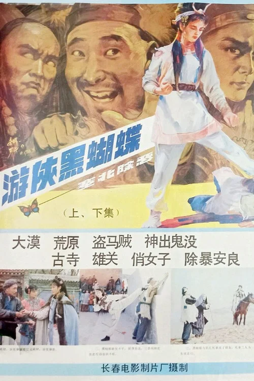 游侠黑蝴蝶(1988)海报