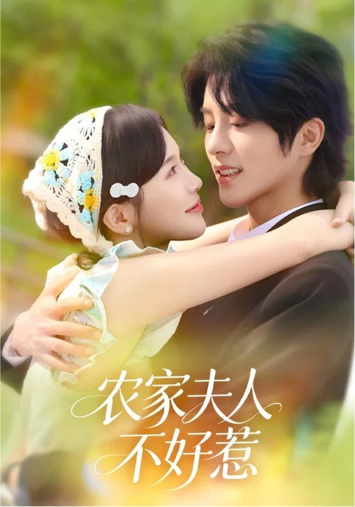 夫人不好惹(2026)海报