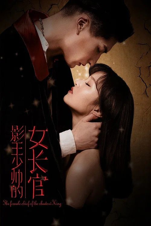 影王少帅的女长官(2018)海报