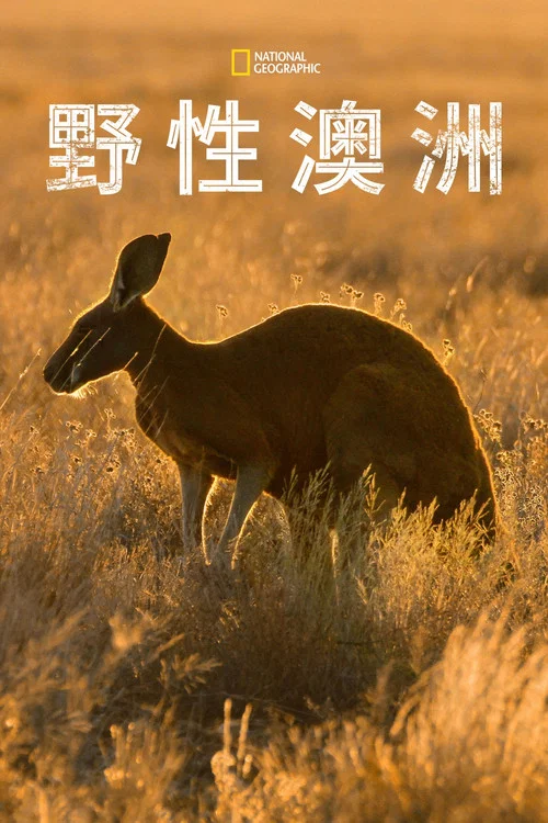 野性澳大利亞劇照2