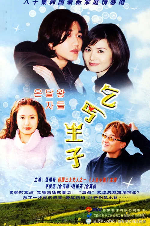 乞丐王子(2000)海报
