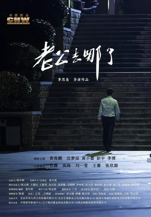 老公去哪了(2019)海报