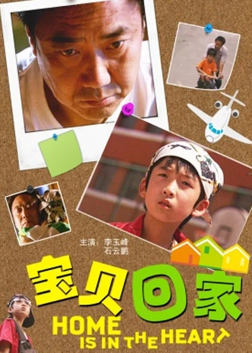 寶貝回家(2010)海報