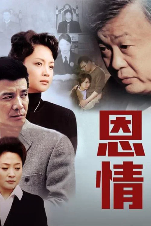 恩情(2003)海报