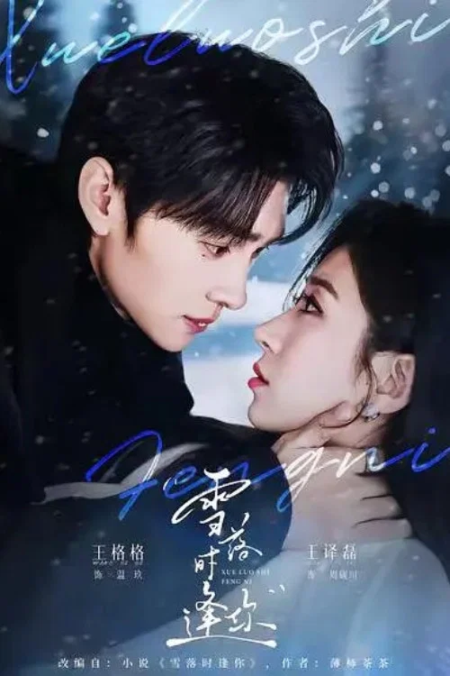 雪落時逢你(2026)海報