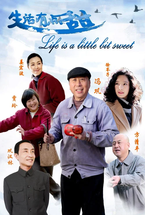 生活有点甜(2016)海报
