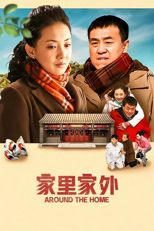 家裡家外2009(2009)海報