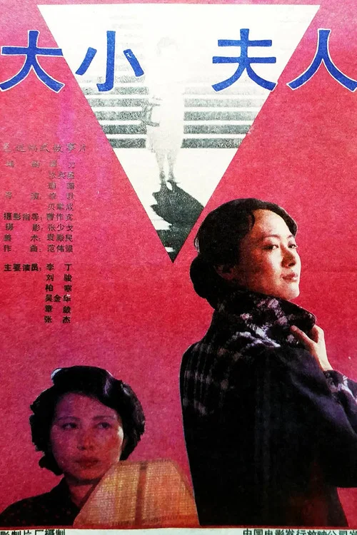 大小夫人(1988)海報