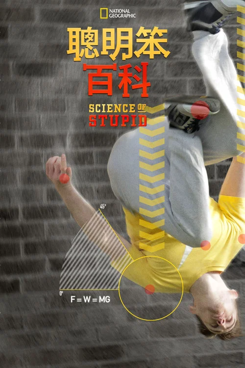 趣味科学(2014)海报