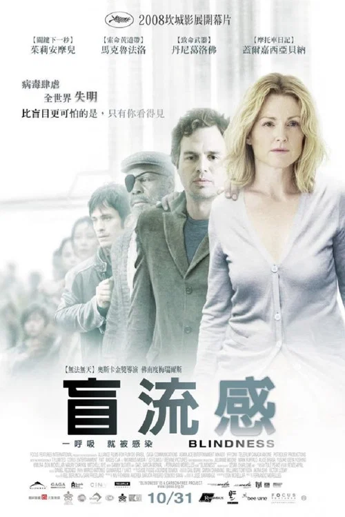 盲流感(2008)海报
