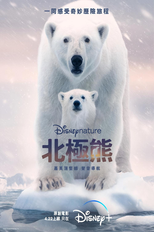 北極熊(2022)海報