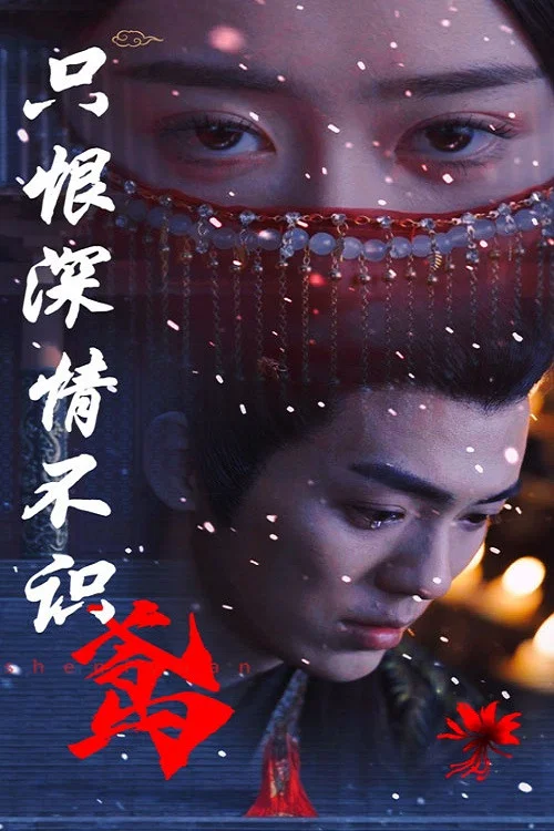 只恨深情不识鸢(2024)海报