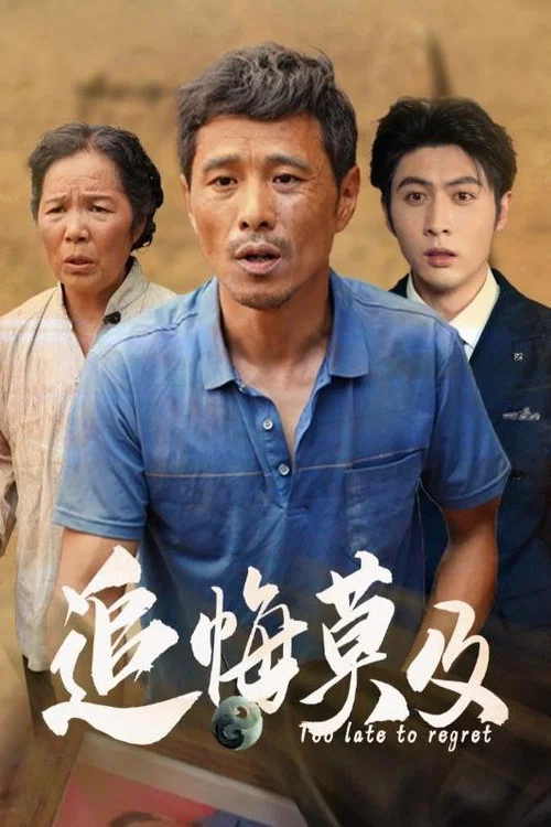 追悔莫及(2024)海报