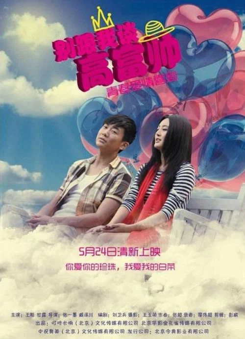別跟我談高富帥(2013)海報