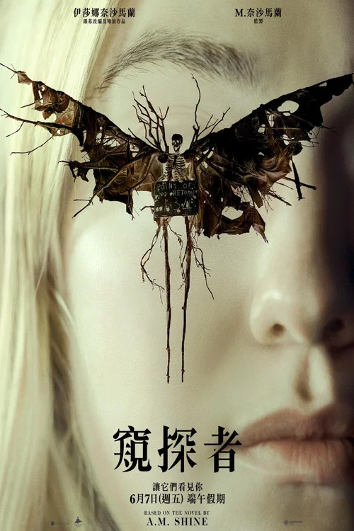 神秘窺視(2024)海報