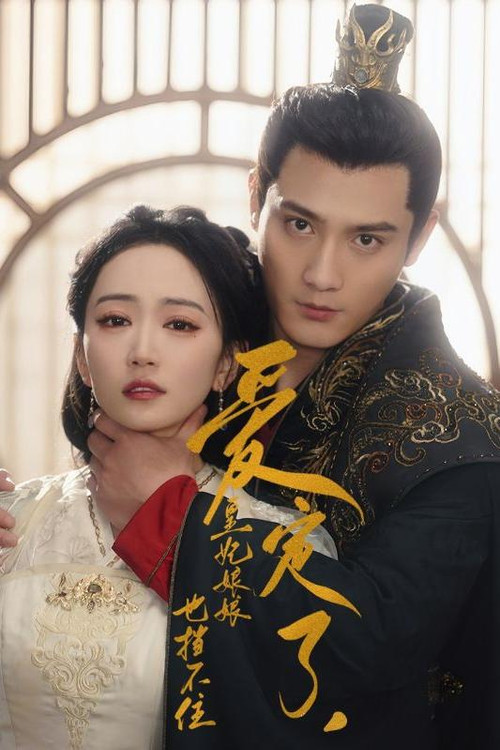 爱定了,皇妃娘娘也挡不住(2024)海报