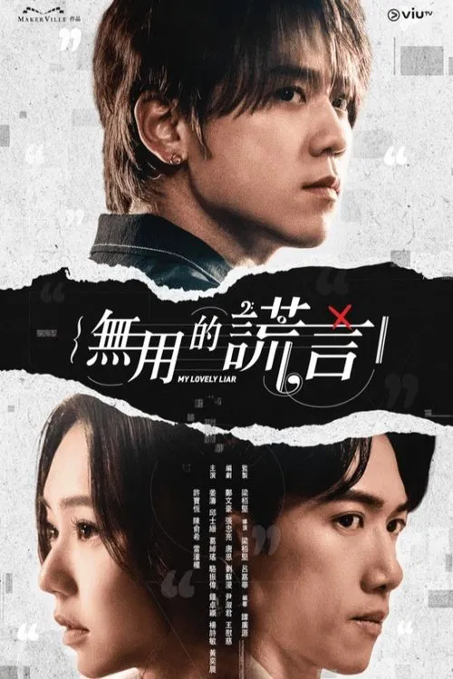 無用的謊言(2024)海報