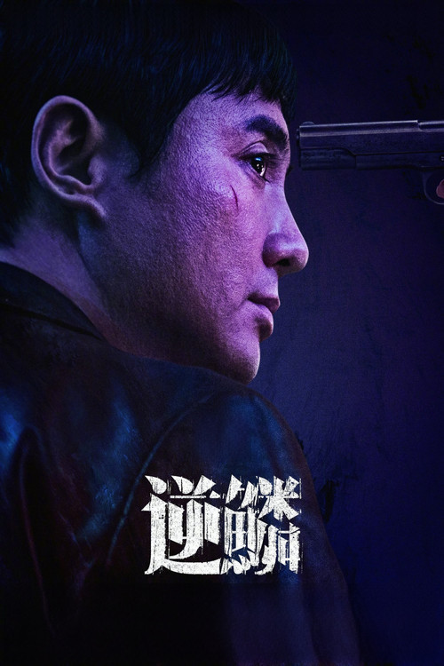 逆鱗2024(2024)海報