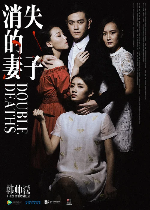 消失的妻子(2017)海报