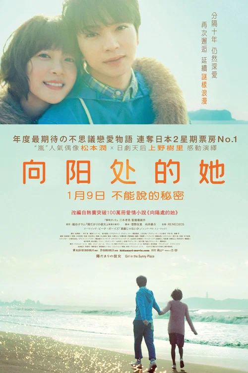 向阳处的她(2013)海报