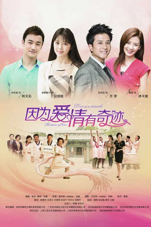 因為愛情有奇蹟(2014)海報