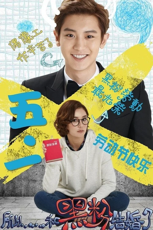 所以……和黑粉结婚了剧照10