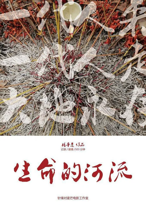 生命的河(2014)海报
