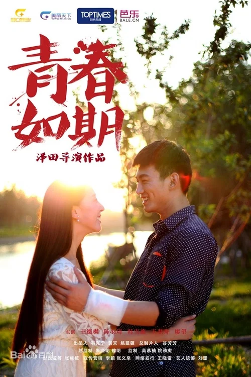 青春如期(2013)海報