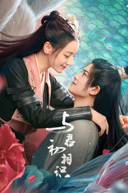 与君初相识·恰似故人归剧照2
