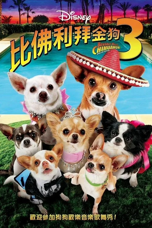 比佛利拜金狗3(2012)海報