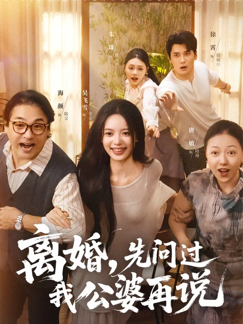离婚再婚(2025)海报