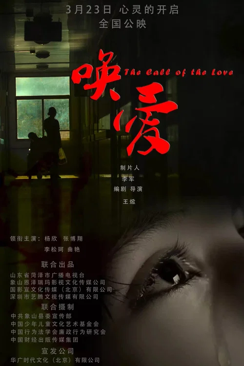 喚愛(2017)海報