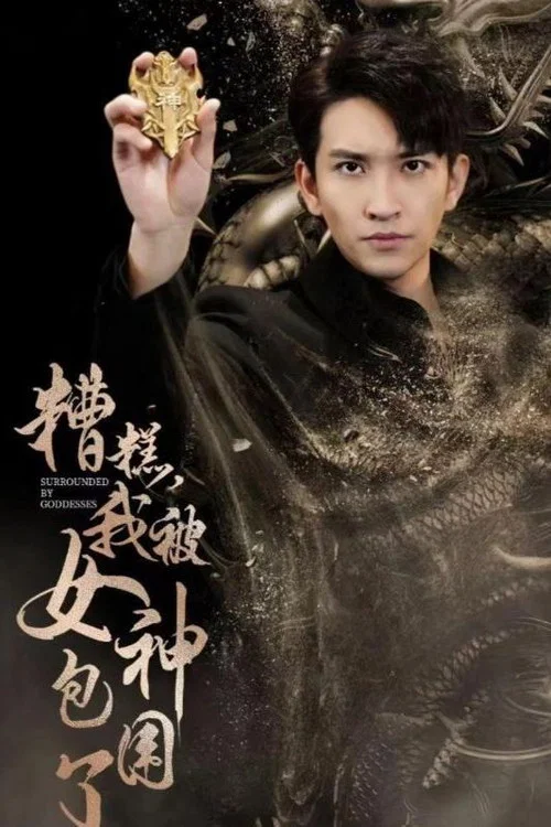 糟糕我被女神包围了(2024)海报