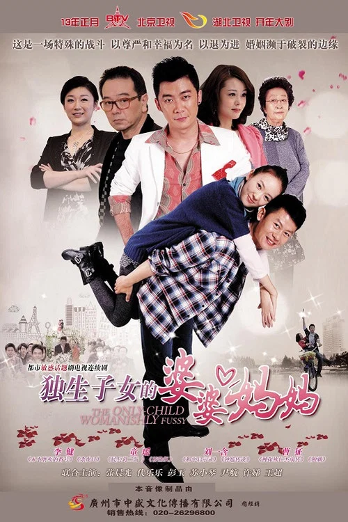 独生子女的婆婆妈妈剧照2
