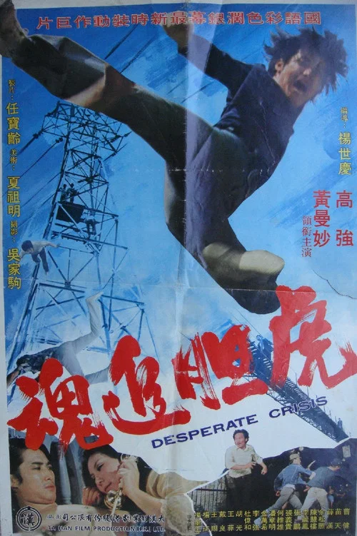 虎追魂(1974)海报
